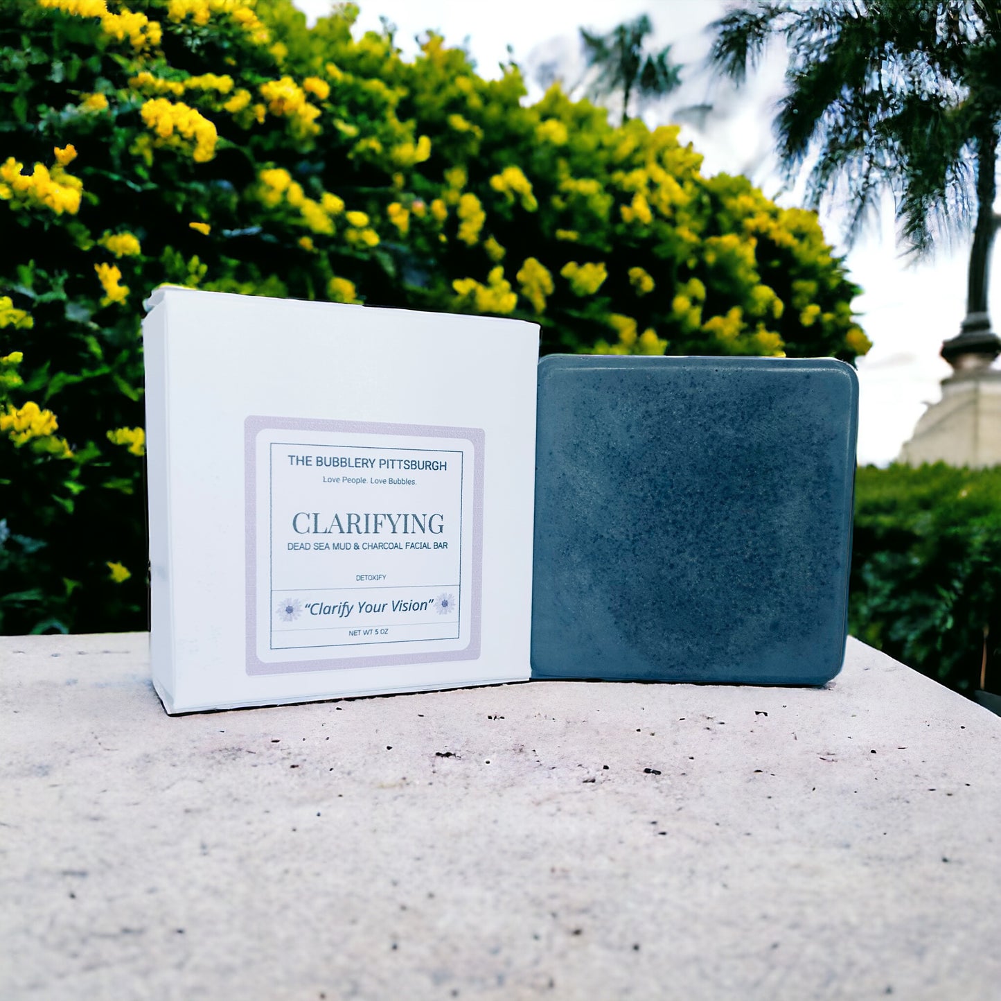 Clarify Dead Sea Mud & Charcoal Facial Cleansing Bar(Muddy Buddy)